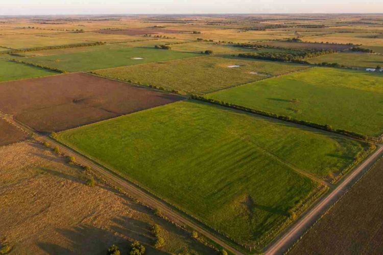 Ley de Tierras: El Gobierno evalúa reponer los límites que derogó