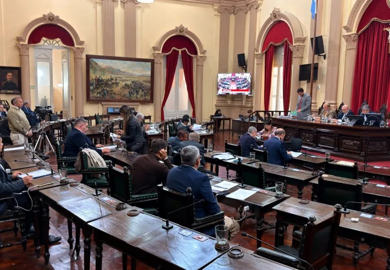 Carta Orgánica: El Senado modificó 17 puntos