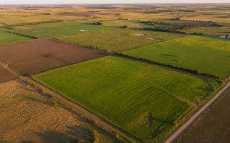 Ley de Tierras: El Gobierno evalúa reponer los límites que derogó
