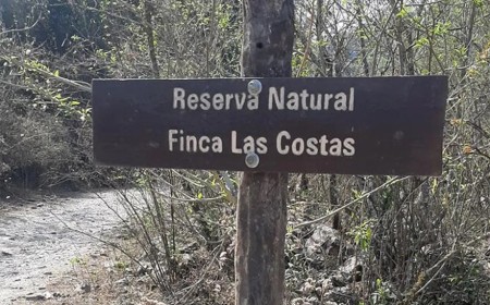 Las Costas: Los desalojos siguen vigentes