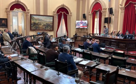 Carta Orgánica: El Senado modificó 17 puntos