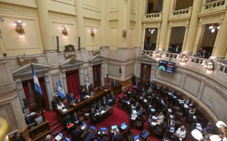 Salud mental: El Senado aprobó cambios en las internaciones
