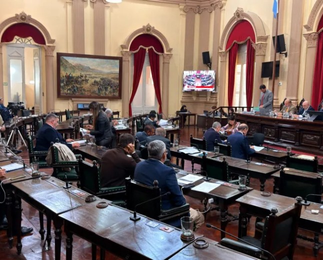 Carta Orgánica: El Senado modificó 17 puntos
